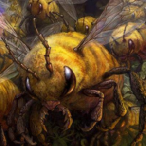 GrizzlyBees.png