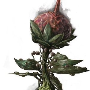 Ruby Spindlebulb.png