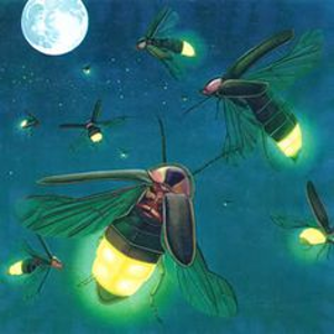 Glowbug.png