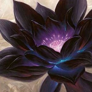 Black Lotus.png