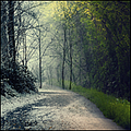 Thumbnail for version as of 19:47, 10 April 2019