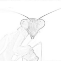 Thumbnail for version as of 20:45, 12 October 2017