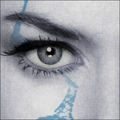 Thumbnail for version as of 13:23, 7 February 2017
